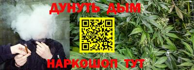 ПСИЛОЦИБИНОВЫЕ ГРИБЫ Нарткала