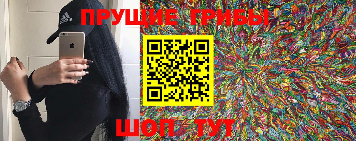Галлюциногенные грибы Psilocybe  Вход с VPN  Саянск 