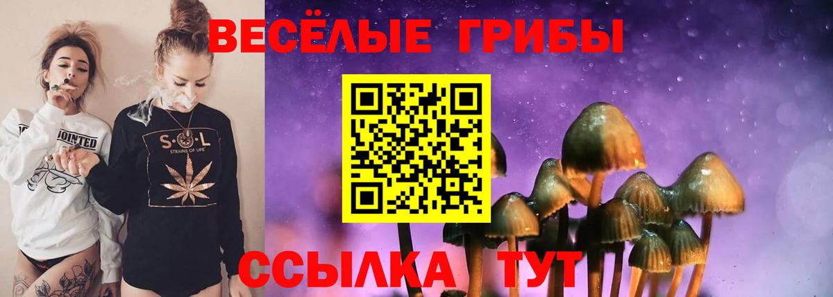 Галлюциногенные грибы ЛСД Саянск